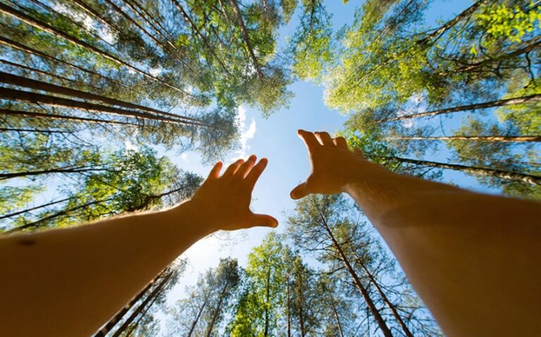 Small Signs of Hope When You Feel Stuck or Tired and Need Light